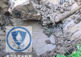 芦淞区水管漏水检测公司5